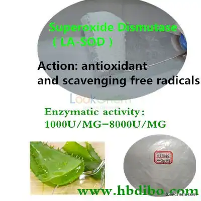 Superoxide dismutase Manufacturer/High quality/Modified SOD producing(9054-89-1)