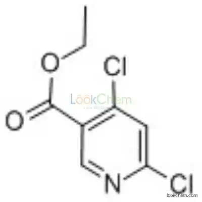 40296-46-6 Ethyl 4,6-dichloronicotinate