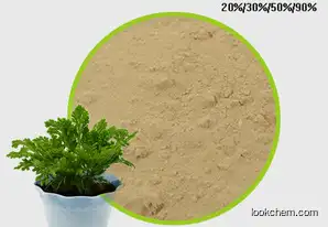 Amentoflavone Powder Extracted From Selaginella tamariscina L.