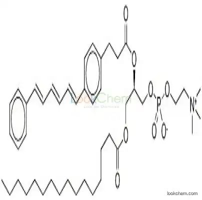 98014-38-1 1-palmitoyl-2-((2-(4-(6-phenyl-1,3,4-hexatrienyl)phenyl)ethyl)carbonyl)-3-phosphatidylcholine