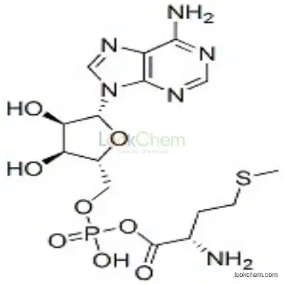 13091-93-5 methioninyl adenylate