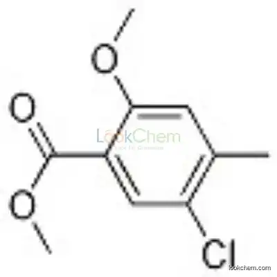 907190-23-2 Benzoic acid, 5-chloro-2-Methoxy-4-Methyl-, Methyl ester