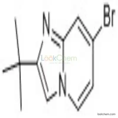 947533-70-2 7-Bromo-2-tert-butyl-imidazo[1,2-a]pyridine