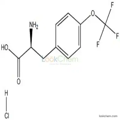 921609-34-9 (S)-2-Amino-3-(4-(trifluoromethoxy)phenyl)propanoic acid hydrochloride