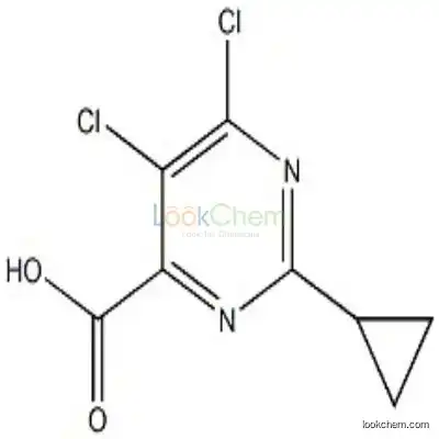858956-27-1 5,6-Dichloro-2-cyclopropyl-pyrimidine-4-carboxylic acid