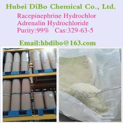 Adrenaline Hydrochloride Manufacturer/High quality/CAS 329-63-5Adrenalin HCL(329-63-5)