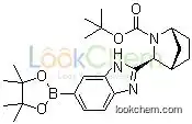 (1R,3S,4S)-3-[6-(4,4,5,5-Tetramethyl-1,3,2-dioxaborolan-2-yl)-1H-benzimidazol-2-yl]-2-azabicyclo[2.2.1]heptane-2-carboxylic acid 1,1-dimethylethyl ester