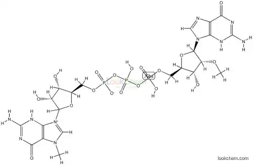 57718-00-0 7-methylguanosine-5'-triphosphoryl-2'-O-methylguanosine