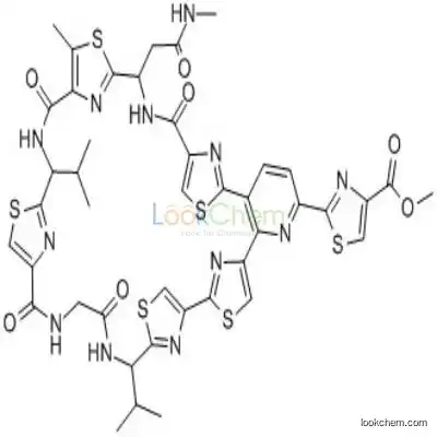 156620-46-1 amythiamicin D