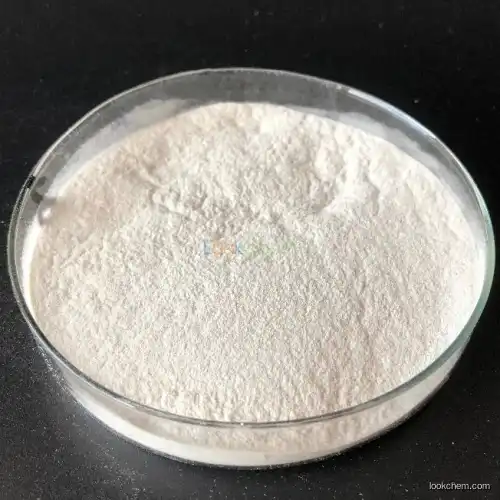 Microcrystalline Cellulose Gel food grade CAS 51395-75-6