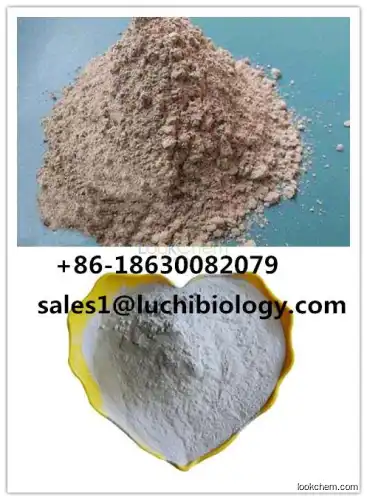 Montmorillonite CAS 93793-83-0 with Competitive Price