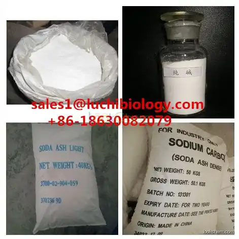 sodium carbonate CAS No.: 497-19-8