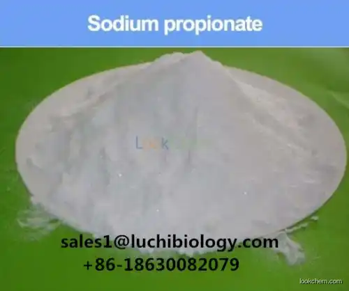 Food Preservatives Sodium Propionate with CAS 137-40-6