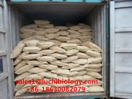 Best Selling Food Grade Xanthan Gum with Competitive Price