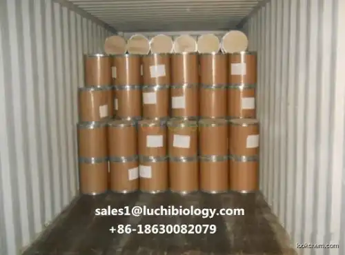 Factory Supply High Quality Food Grade Sweetener L-Arabinose Cheap Price Gas: 5328-37-0