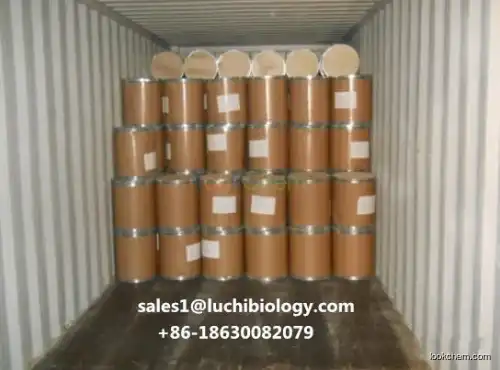 Wholesale Price Food Sweetener L-Arabinose 5328-37-0