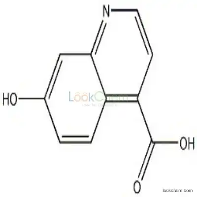 1017969-32-2 7-Hydroxy-quinoline-4-carboxylic acid