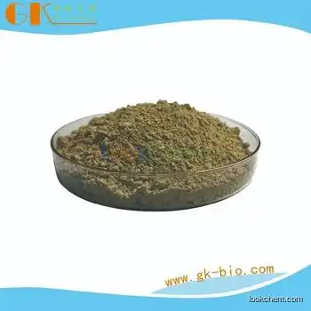 Pueraria Extract Powder Flavones 40% Kudzu Root Powder 3681-99-0