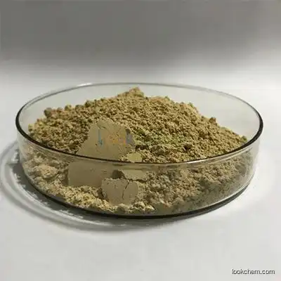 Pueraria Extract Powder Flavones 40% Kudzu Root Powder 3681-99-0