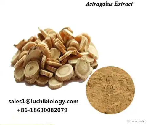 Astragalus Root Extract 98% Cycloastragenol CAS No 84605-18-5