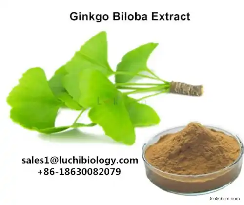 Factory Supply Plant Extract Ginkgo Biloba Extract CAS No. 90045-36-6