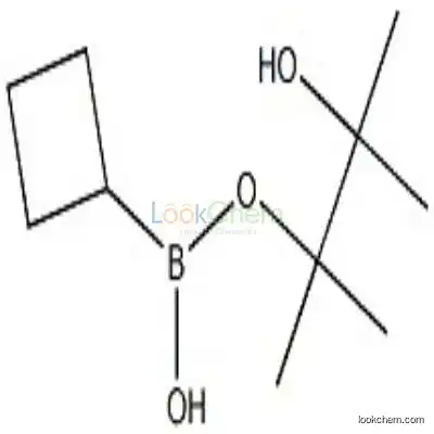 1360914-08-4 Cyclobutylboronic acid pinacol ester