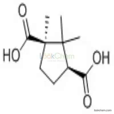 124-83-4 D-(+)-Camphoric acid