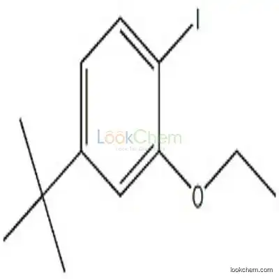 870007-40-2 4-(Tert-Butyl)-2-Ethoxy-1-Iodobenzene
