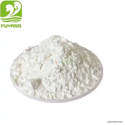corn starch maize starch for papermaking and textile