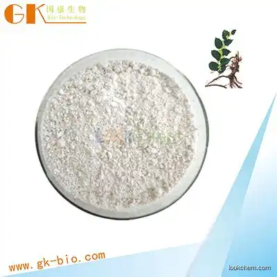 Factory Supply Citrus Paradisi Extract Grapefruit Extract Naringin Powder 98% CAS 10236-47-2