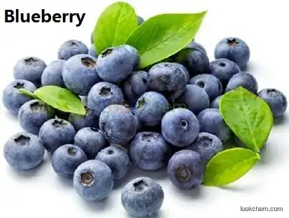 100% Natural blueberry extract concentrate powder anthocyanins 25%, Cas: 84082-34-8