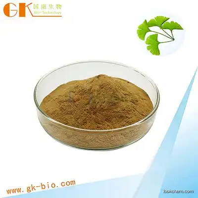 Ginkgo biloba powder extract Ginkgo flavoglycosides24% 90045-36-6