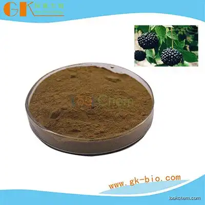 84929-27-1 grape seed extract 95% anthocyanin