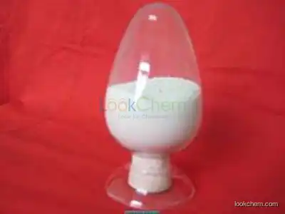 ciprofloxacin hcl supplier