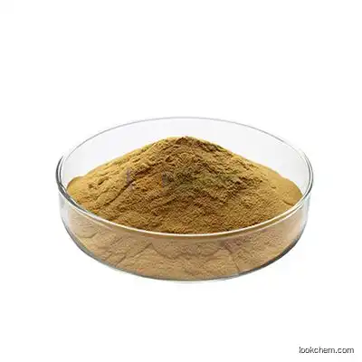 Chinese Ivy Leaf Extract Powder Hederacoside C 10% CAS NO.: 84082-54-2