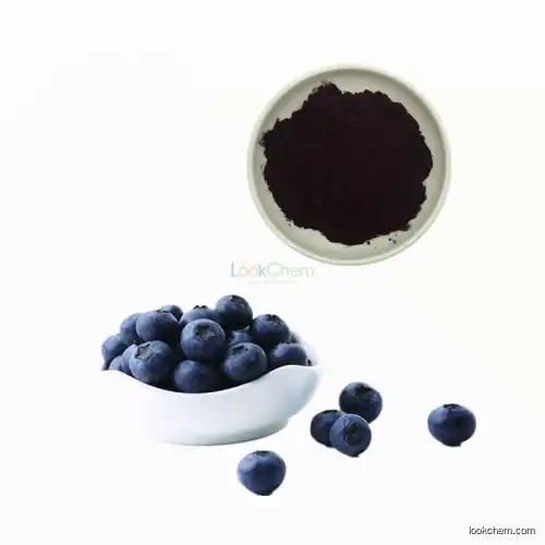High quality Blueberry Extract Anthocyanidin