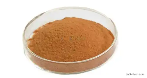 High quality Damiana Extract Powder