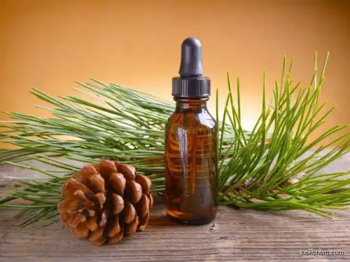 Pine Essential Oil 50%，65%，85% for wholesale with competitive price