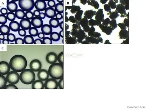 poly(L-lactic-acid) microspheres