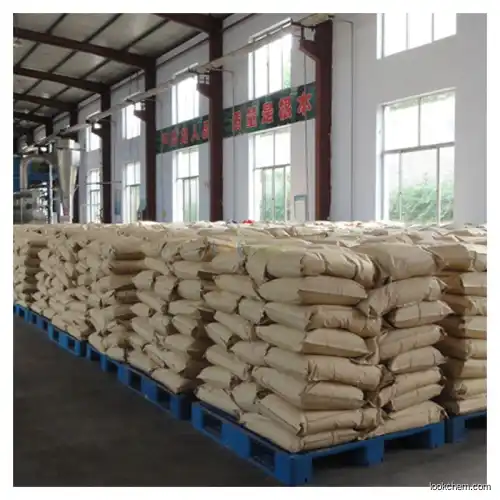 food additive succinic acid largest manufactory