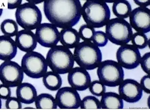 polycaprolacton microspheres (PCL)