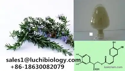 Rosemary Powdered Herbal Extracts Rosmarinic Acid 5%-98% Water Solubility