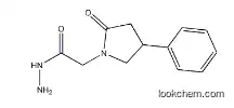 2-Oxo-4-phenylpyrrolidine-1-acetic acid hydrazide Manufacturer(77472-71-0)