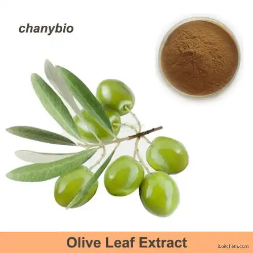 Factory HPLC 20% 40% 50% 60% Olive extract Olive Leaf Extract powder Hydroxytyrosol
