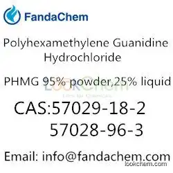 PHMG 95% powder; 99% solid,cas:57028-96-3 from FandaChem