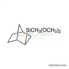 2-(dimethoxymethylsilyl)-bicyclo[2,2,1]heptanes