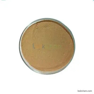 Pharmaceutical Intermediate, 2-Amino-6-bromophenol CAS:28165-50-6