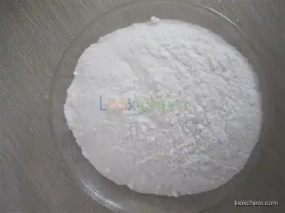 High purity Theophylline supplier  CAS NO.58-55-9