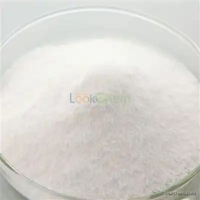 High purity Theophylline supplier  CAS NO.58-55-9