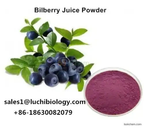 100% Natural Bilberry Extract Powder, CAS: 84082-34-8